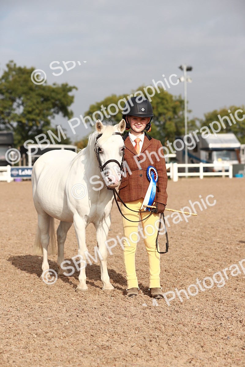 SBM_09936 - Class 203 Young Handler, 10 years and under