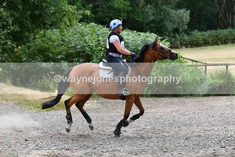 WJ5_1847 - XC Time 12:05 to 12:55