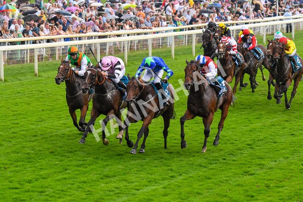 100923-Race 6-Anjo Bonita-1070 - Race 6 4.25pm Hanson Springs 60th Anniversary Handicap at York