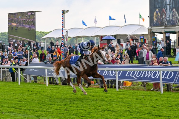 160524-Race 4-Economics-5978 - Race 4 3.45pm Al Basti Equiworld Dubai Dante Stakes
