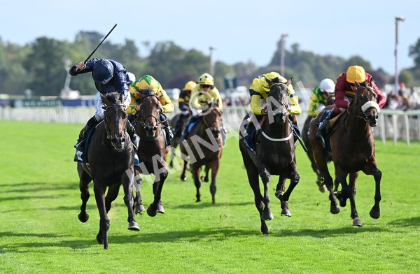 220825-238 Frescobaldi - Race 6 4.45pm British Stallion Studs EBF Convivial Maiden Stakes