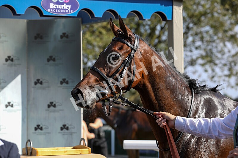 310824-Race 5-Bassadanza-1871 - Race 5