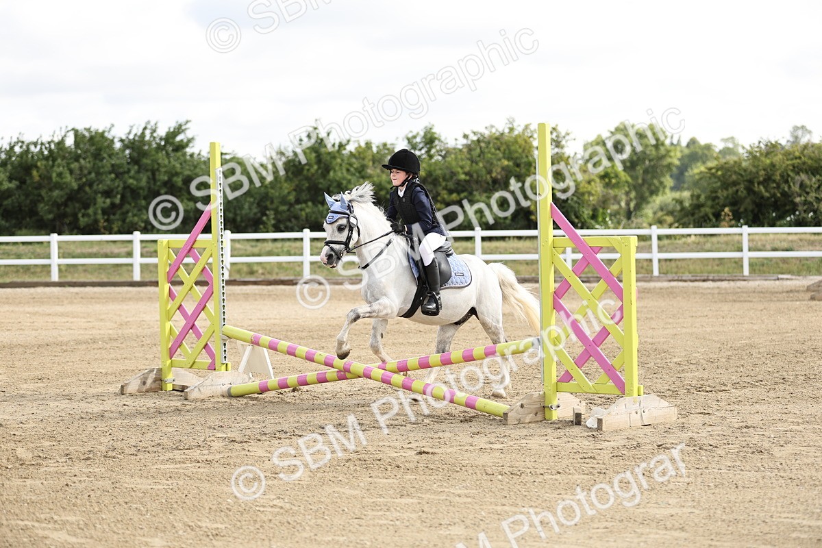 SBM_003263 - 40cm showjumping