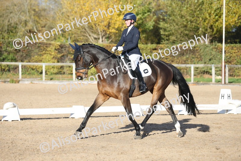 20251102-1203 - Class 7 - Medium 5