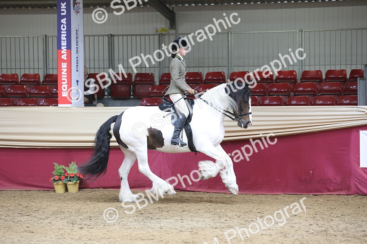 SBM_23727 - class 906 - Supreme Final - Ridden Pre Vet