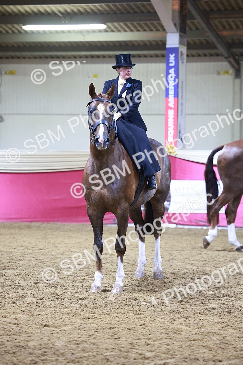 SBM_14720 - Class J - Foreign Breeds Champ