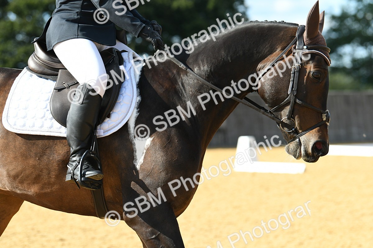 SBM_27019 - D16 - Small Tour Championship - Novice 28