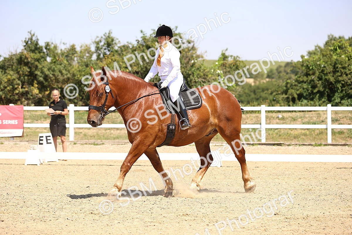 SBM_004136 - Intro 2