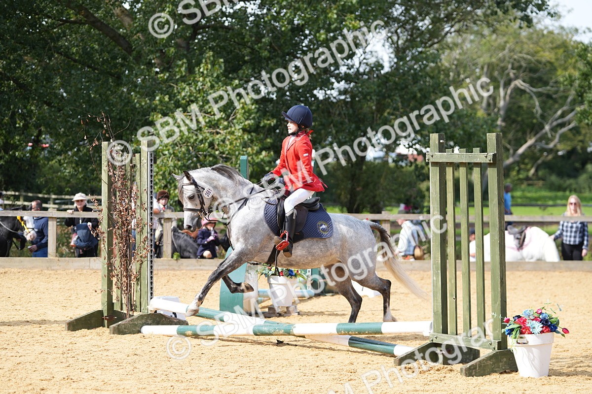 SBM_65762 - J2 - Mini Tour Junior Pony 30cm Championship