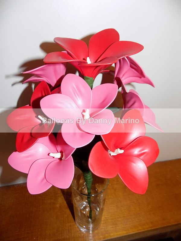  - Balloon Flowers