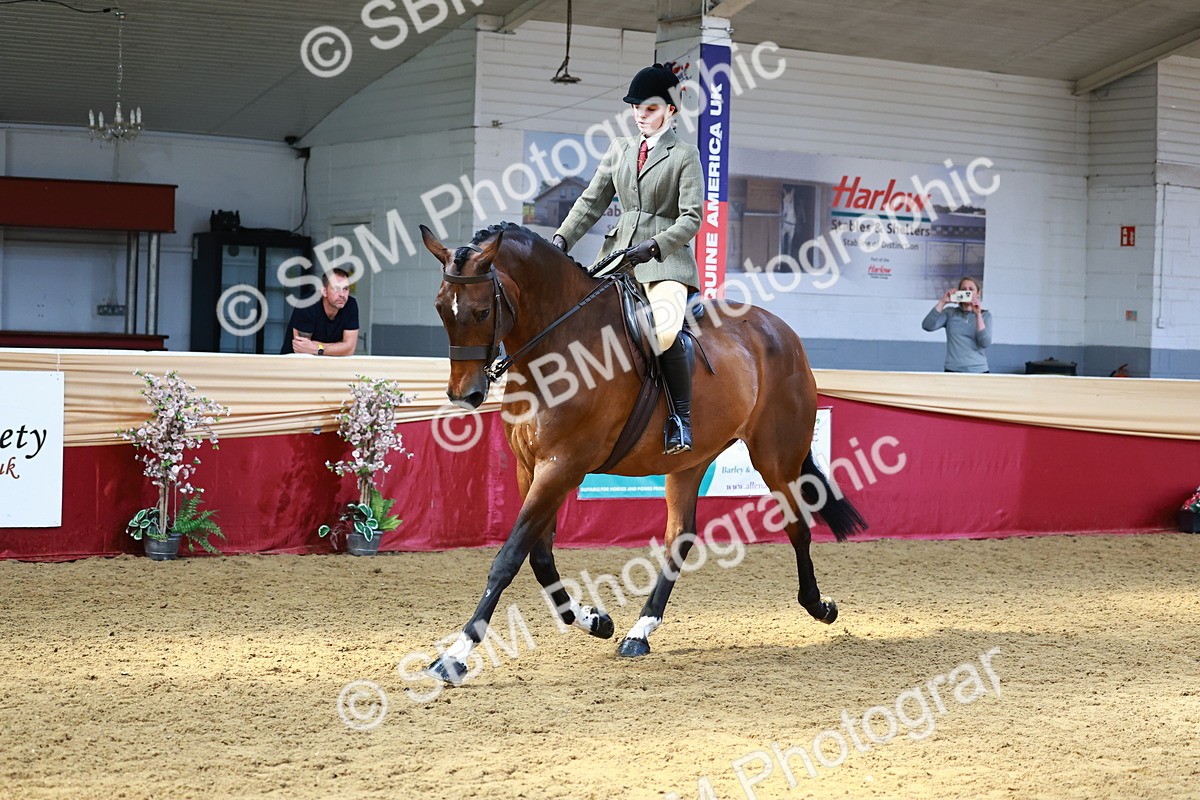 SBM_24007 - Class 905 - Supreme Final - Ridden Veteran