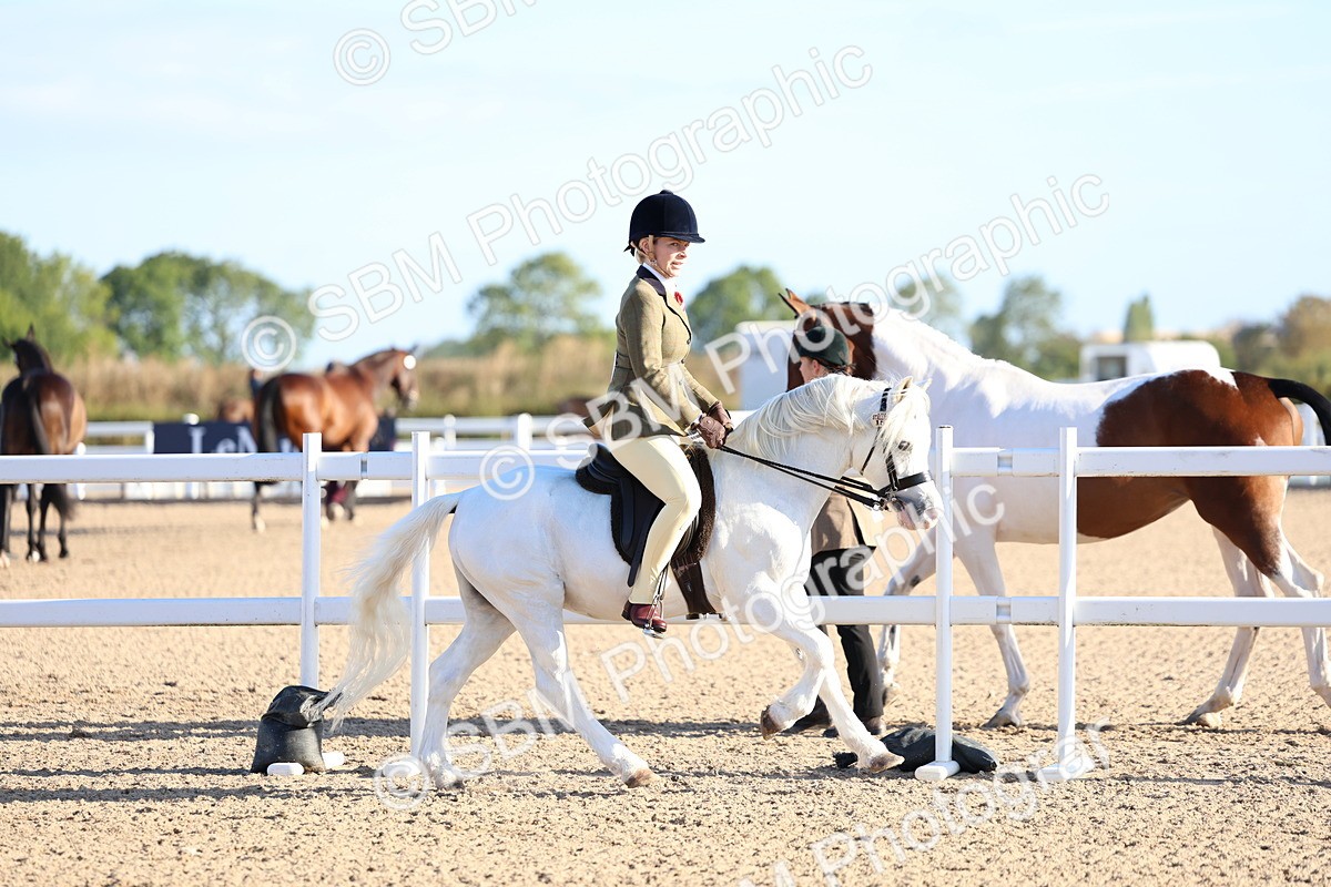 SBM_07797 - Class 301 - Ridden M&M - Small Breeds