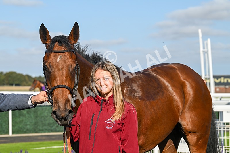 180924-Race 5-Blue Zodiac-4870 - Race 5