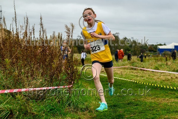 WestRLY25-811848 - Young Female Set One