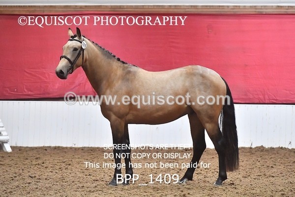 BPP_1409 - MORNING 9AM - 12PM