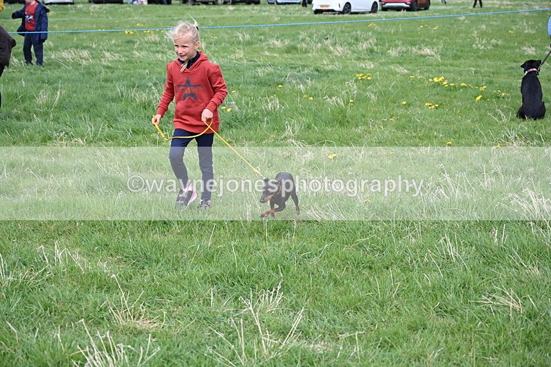 WJ6_8119 - Class 2 Best Pedigree