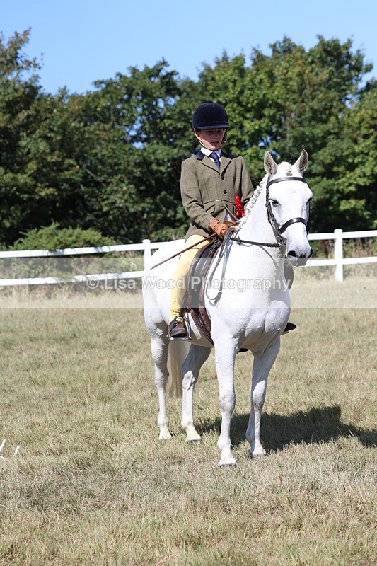 3E7A6450 - Working Hunter Championship