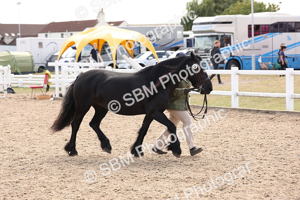 SBM_15075 - Class 209 - IH Veteran Pony