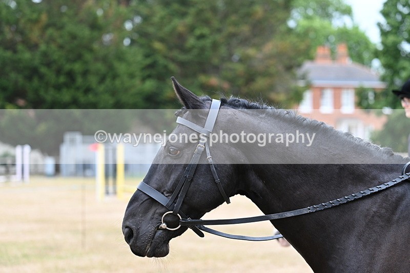 WJ7_7689 - Class 3 Family Mount