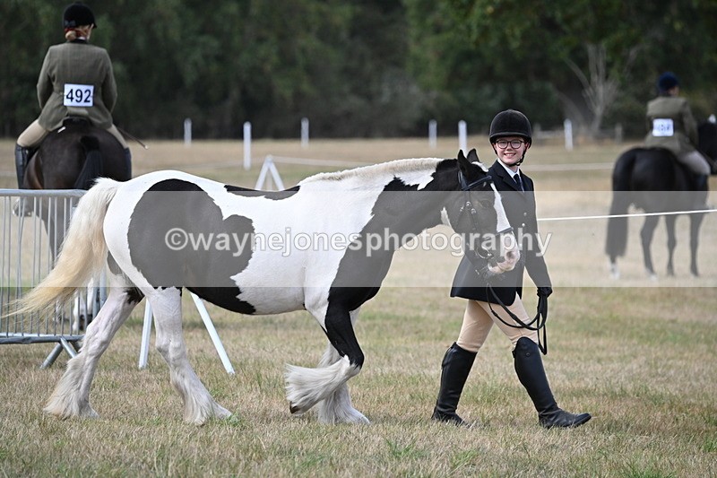 WJ6_6406 - Class 20 In-hand Cob