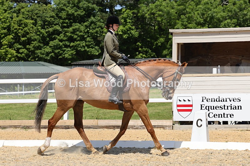 1X9A1804 - Class 12: Ridden Riding Horse/Hack