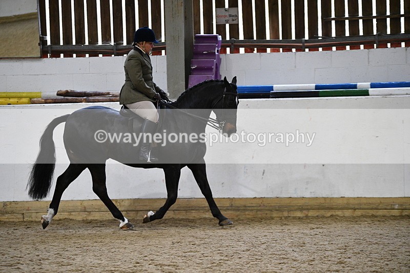 WJ5_7805 - Class 13 Ridden Part Breed
