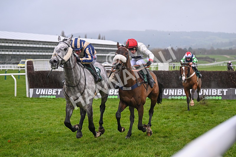 131224-Race 4-King Turgeon-9160 - Race 4