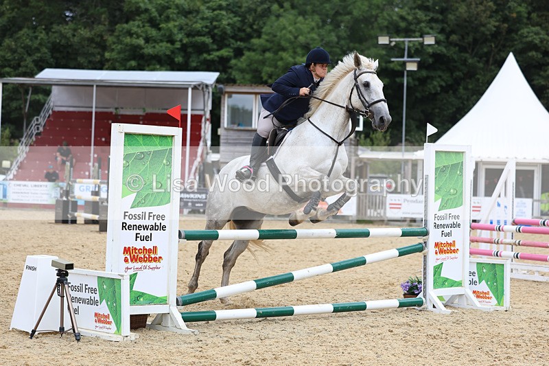 3E7A4747 - Class 4: Senior British Novice/90cm open