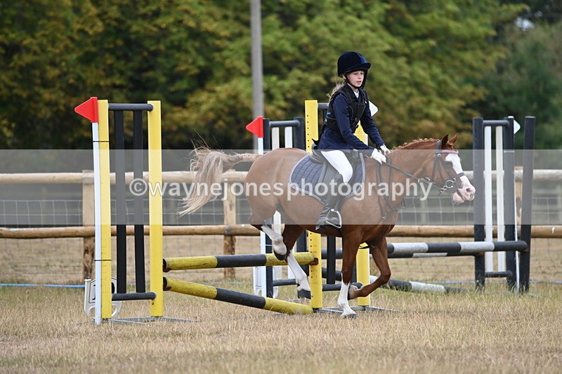 WJ6_0158 - Class 13 Novice Jumping 60cm