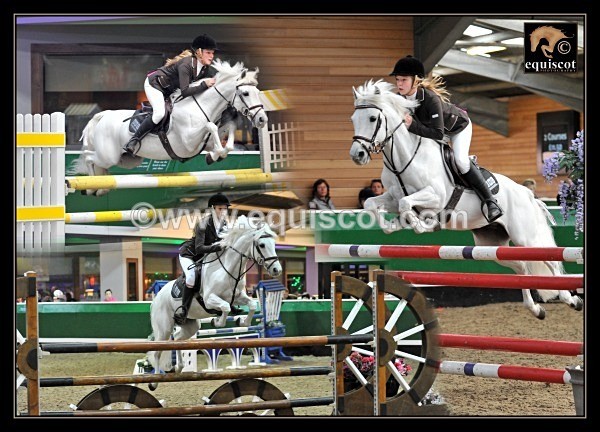 taylor ward grey palace montage - 2012 BSJA SCOTTISH AWARDS BALL PRIZEWINNERS MONTAGES