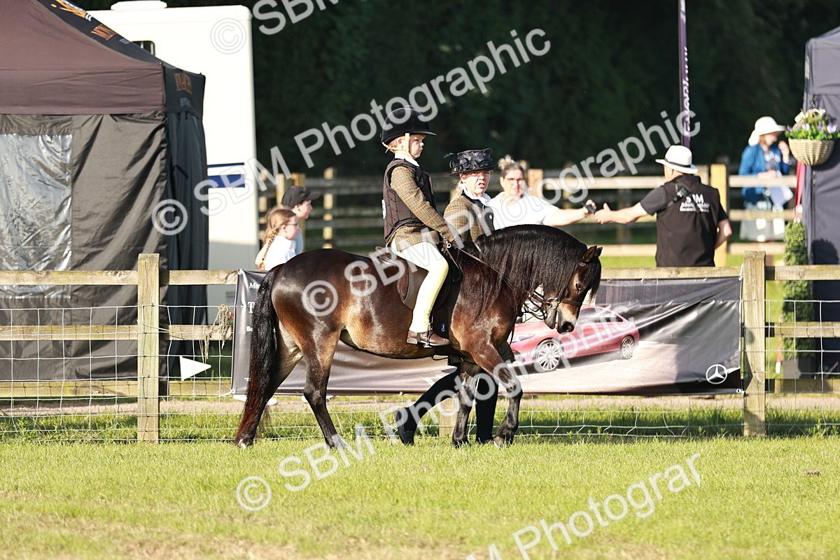 SBM_11013 - Class 106-107 - BSPS LIHS Working Sports Pony