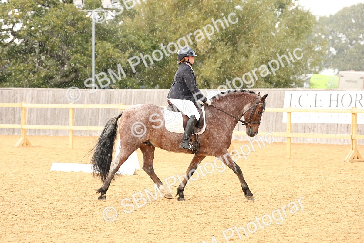 SBM_10652 - D9 - Small Tour Championship Prelim 3
