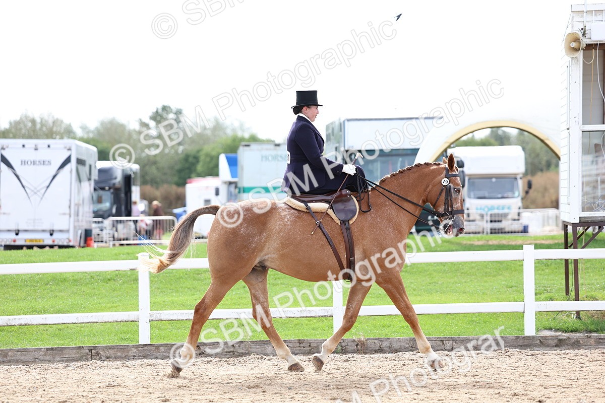 SBM_03304 - Class 23 - SSA Classical (any age)
