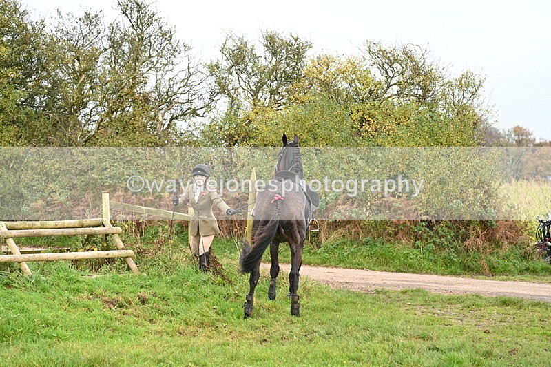 WJ7_0446 - Camera 1 & Last fence