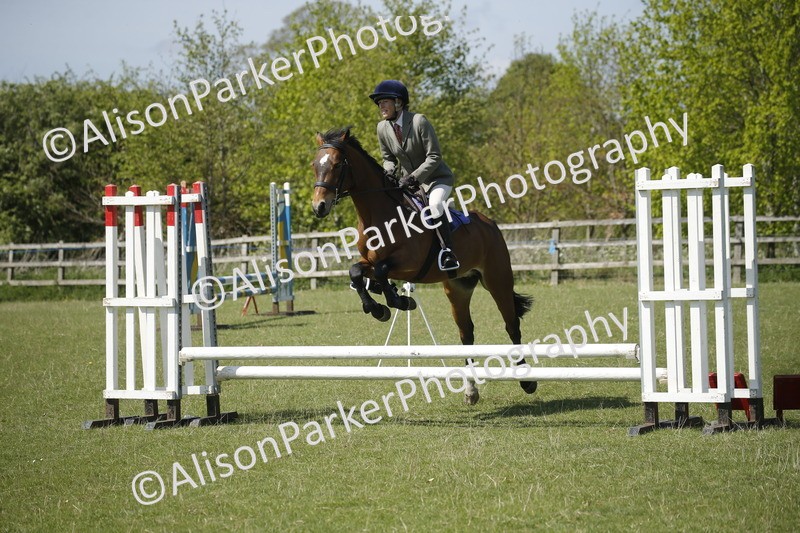 20250427-2269 - Class 13 - Novice Jumping 60cm