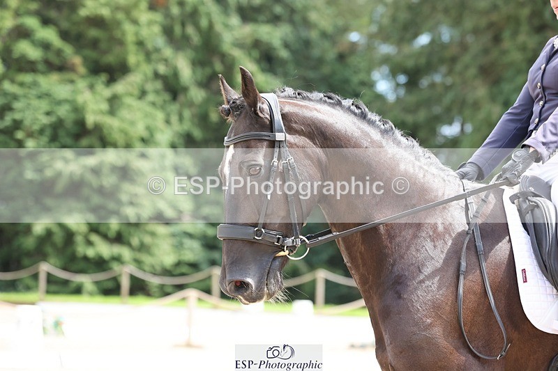 240721-141821-09502 - 232-Samantha_Pring-Tongwynlais_Moon_Dancer