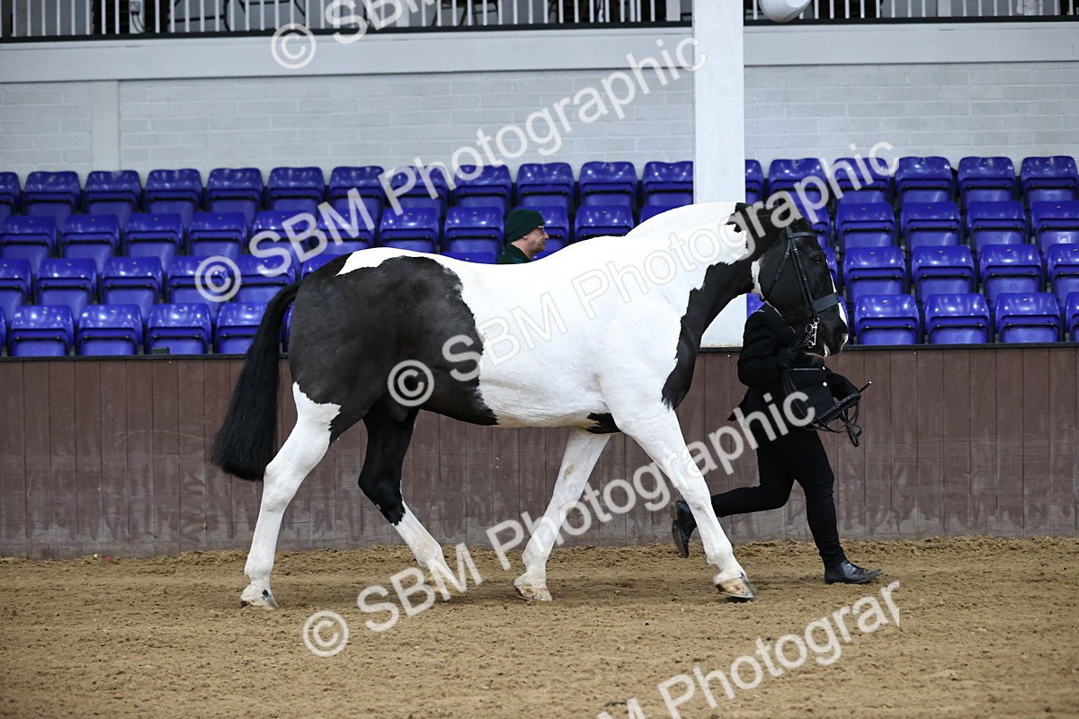 SBM_5251 - Class 32 - In Hand Cob Type
