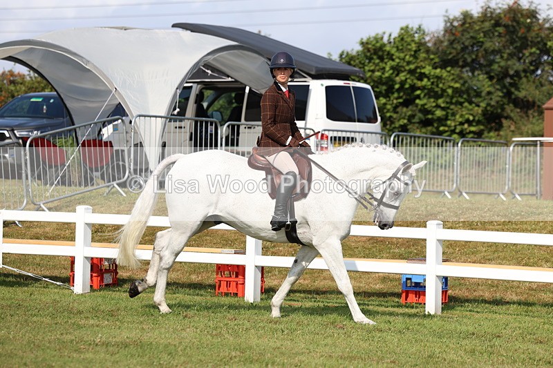 3E7A8564 - Class 3: Rising Star S/L Hunter