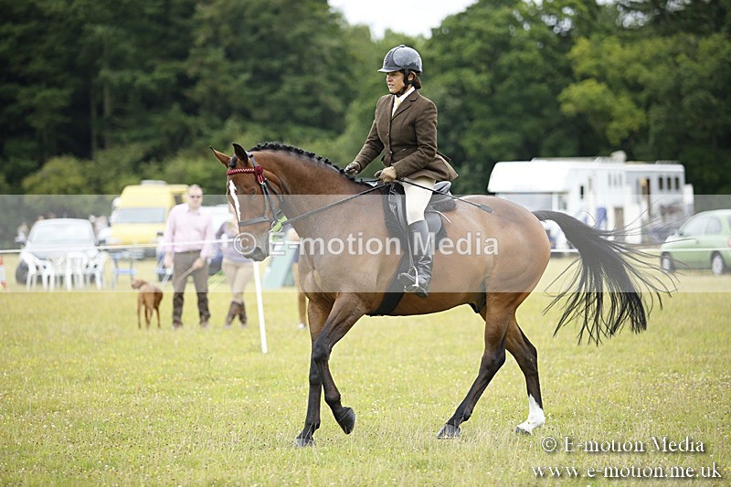 BVR160717-304 - Ring 1 BVRC Show 16/07/17