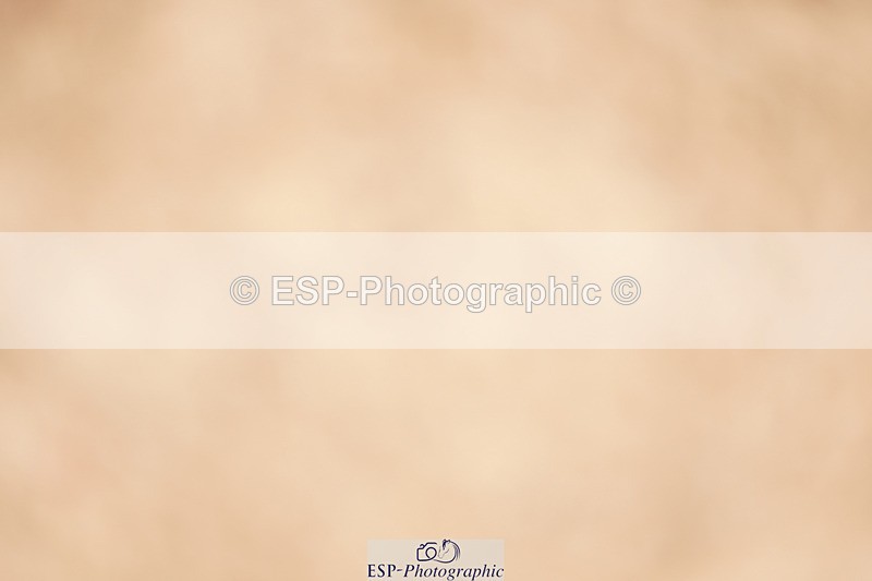 240418A-131748-03140 - Cls 37, Amateur 1.05m