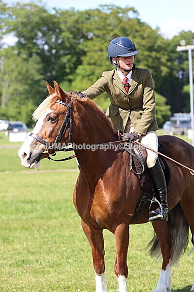 IMG_4754 - Working Hunter