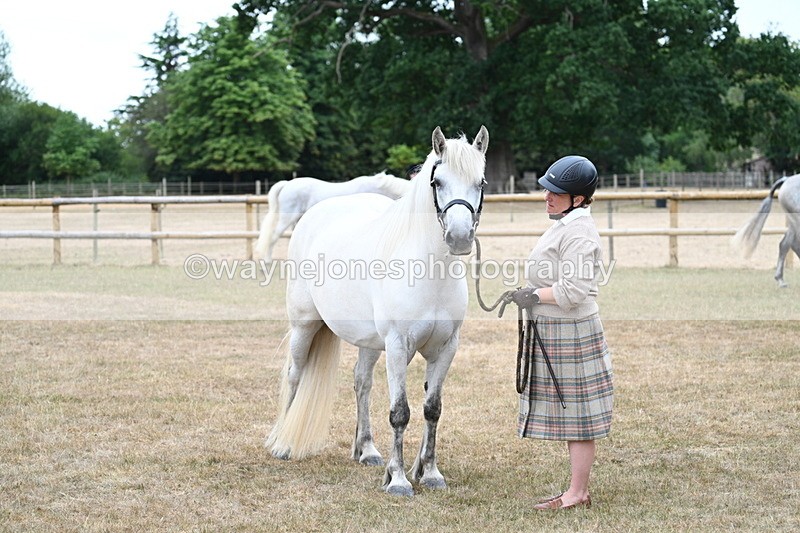 WJ7_9175 - Class 4a Prettiest Mare 14.2hh and over