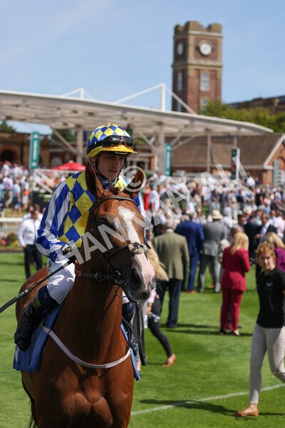 yr09072022r3-11 - Race 3 2.55pm John Smith's Stayers Stakes