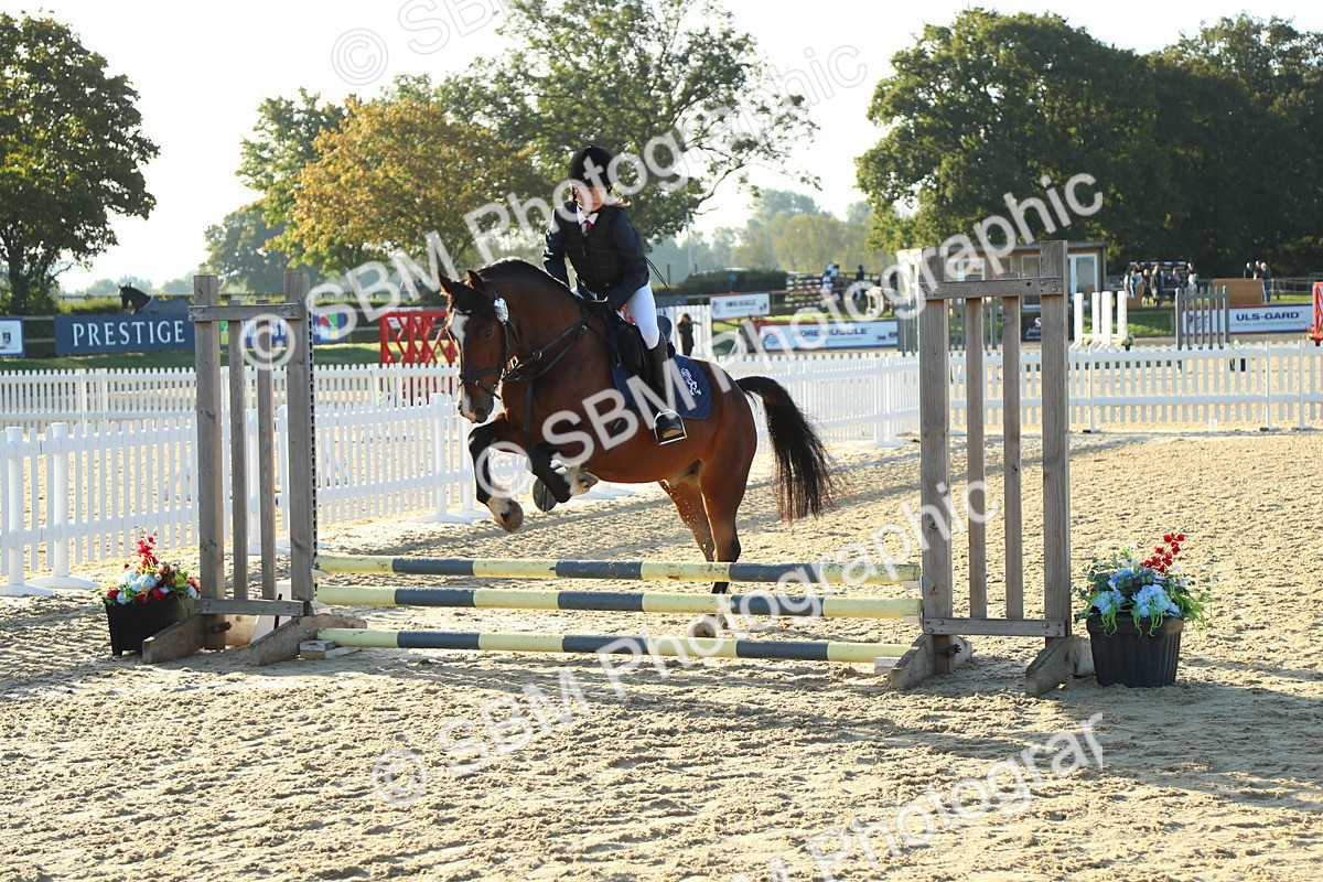 SBM_34900 - J5 - Junior Pony 50cm Championship