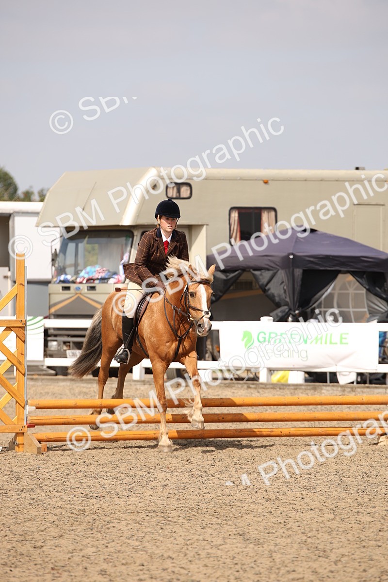 SBM_14304 - Class 407b - Working Veteran 60cm (20+)