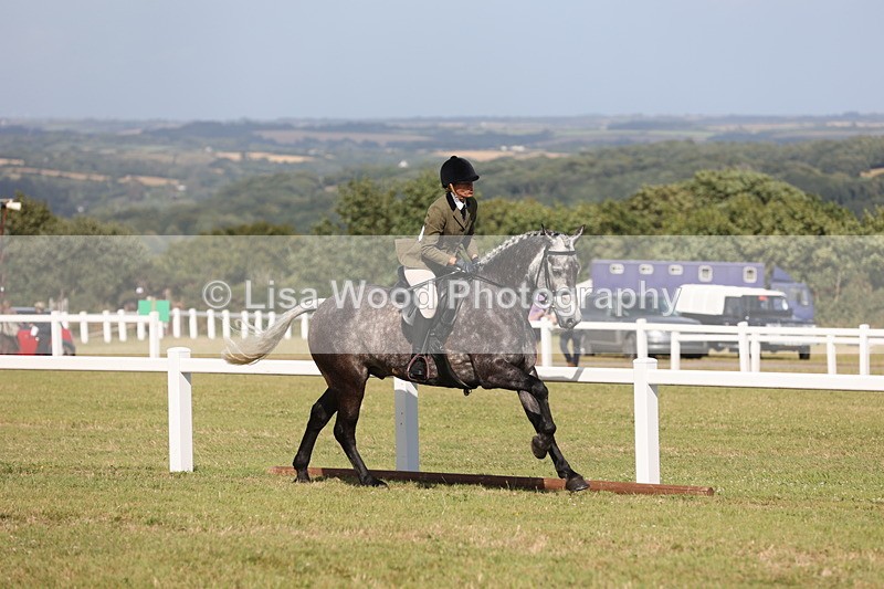 JPP_2948 - Class 20: Working Hunter 70cm