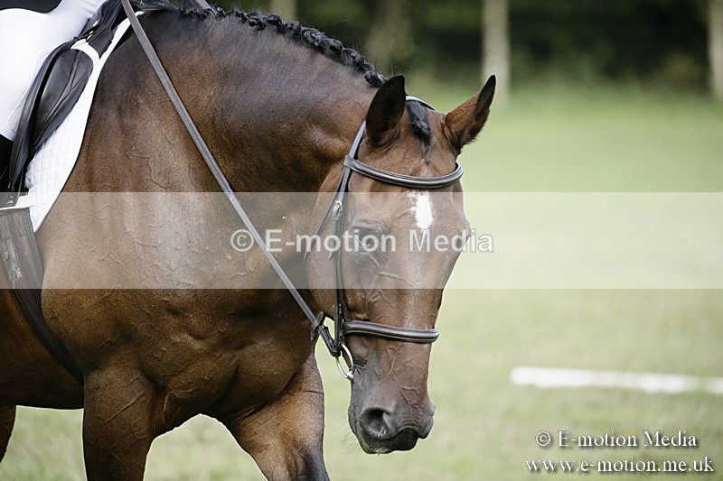 BVR090918 167 - BVRC Dressage and Show Jumping 09/09/18