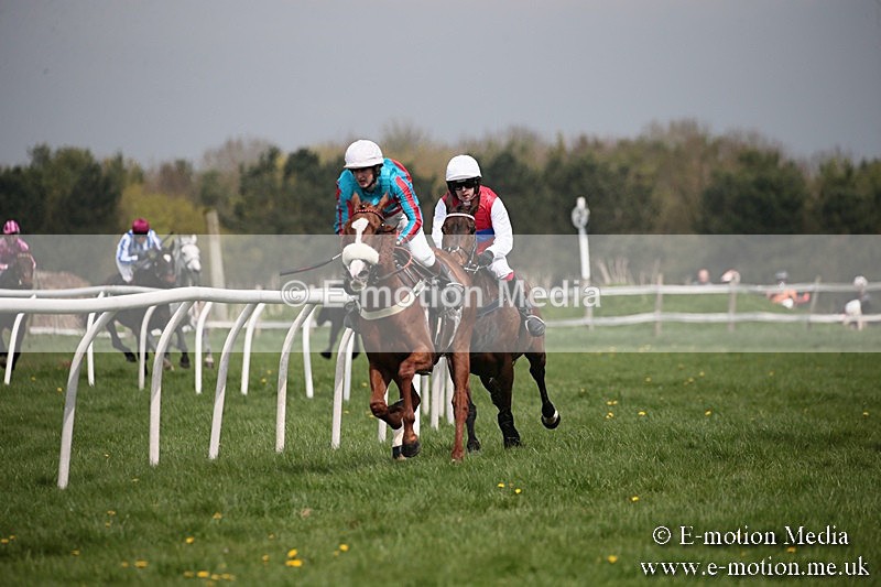 PtP 210418 10 - South & West Wilts Point-to-Point Larkhill 21/04/18