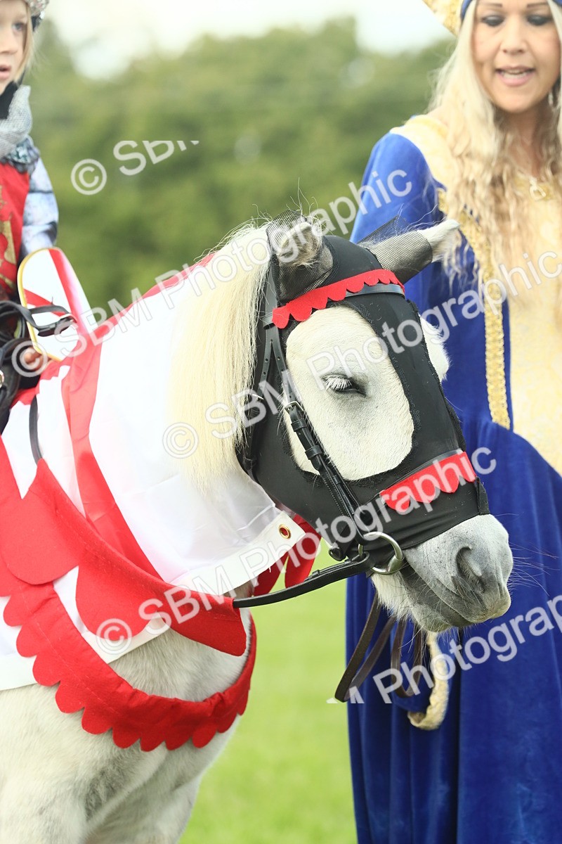 SBM_63586 - S35 - Fancy Dress Showing