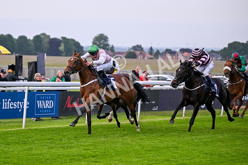 160626-Race 5-Anificas Beauty-5225 - Race 5 20.30pm Churchill Tyres Handicap
